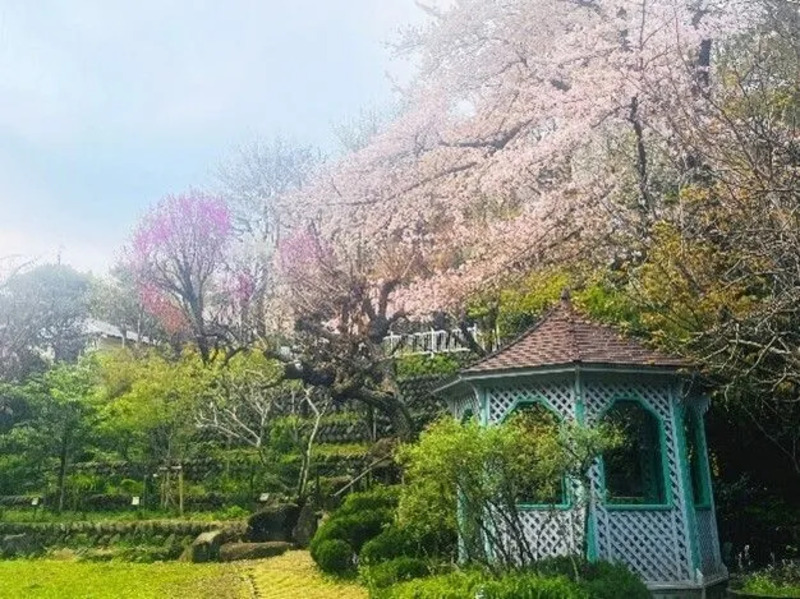 写真提供：⼀般社団法⼈ ⼤⽥観光協会