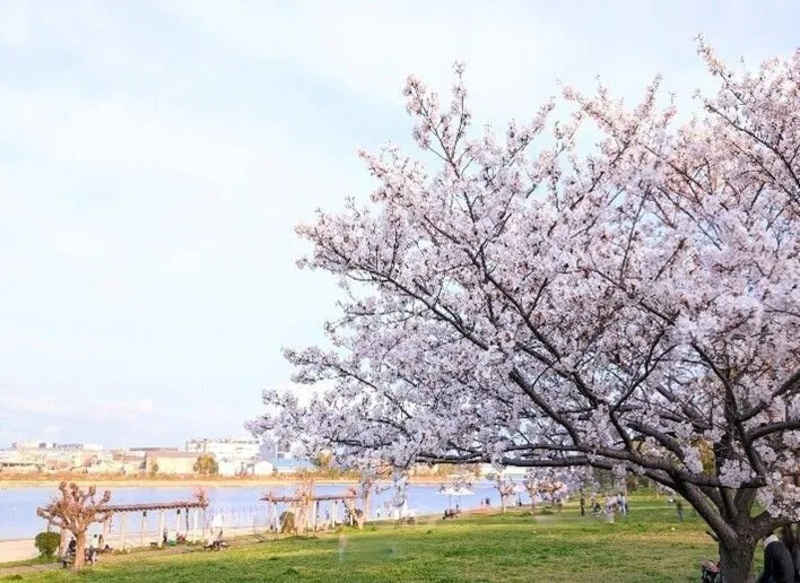 写真提供：⼀般社団法⼈ ⼤⽥観光協会