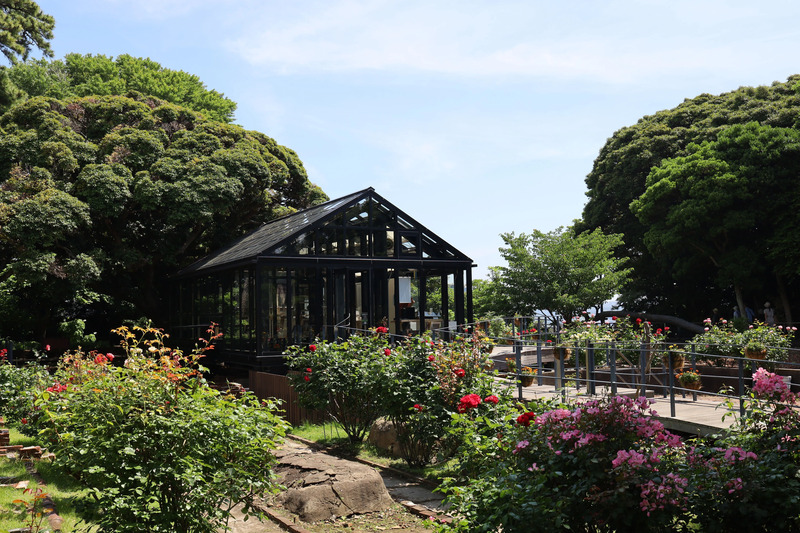 藤沢市 湘南 江の島サムエル・コッキング苑