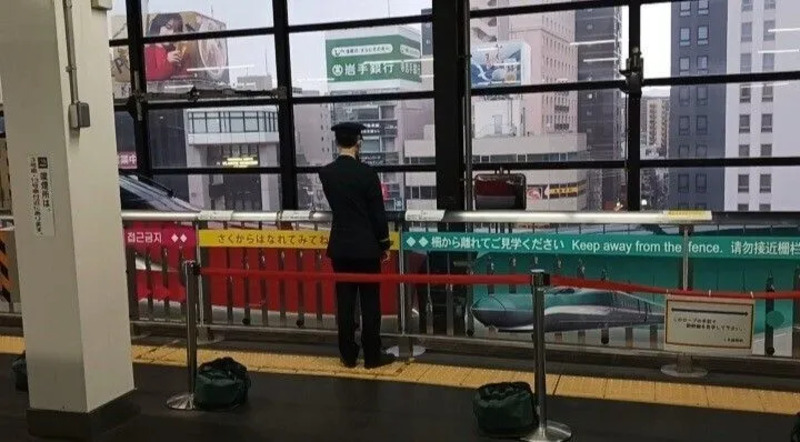 Hayabusa & Komachi connect at Morioka station.