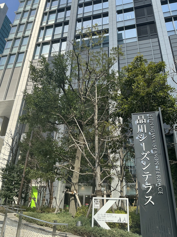 品川シーズンテラス