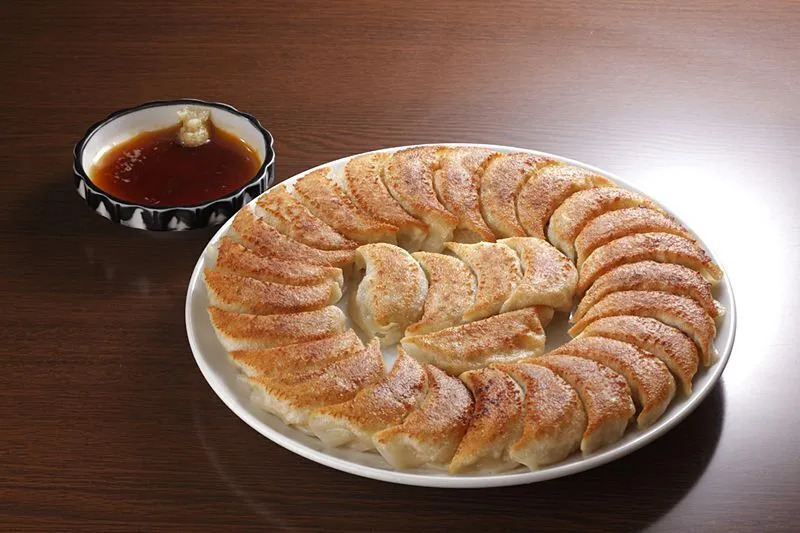 Disk Gyoza