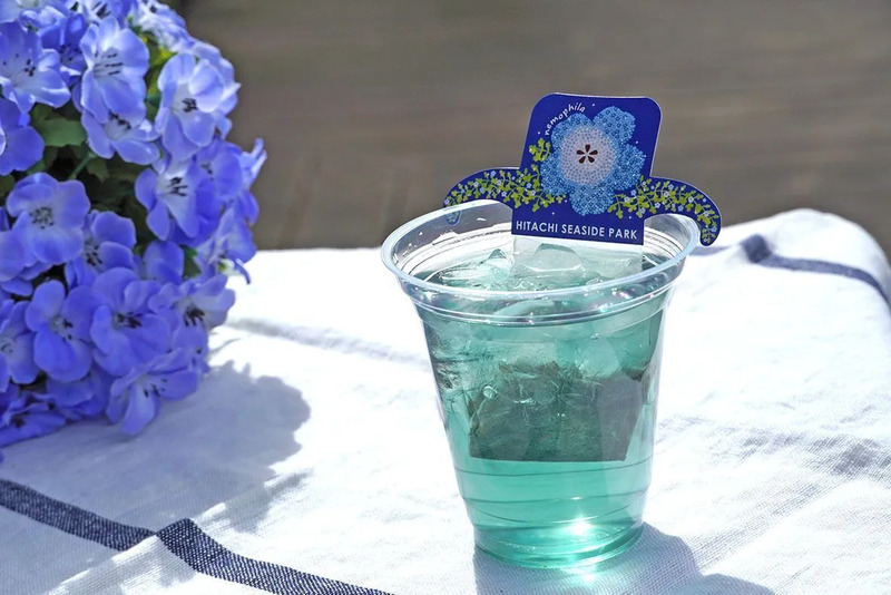 ネモフィラブルーティー（提供：国営ひたち海浜公園）