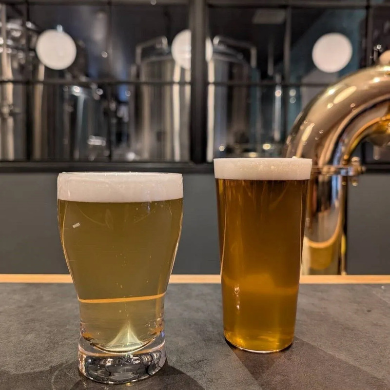 龍泉洞,龍泉洞わっか,ガイドツアー,岩泉,岩手 観光,クラフトビール,