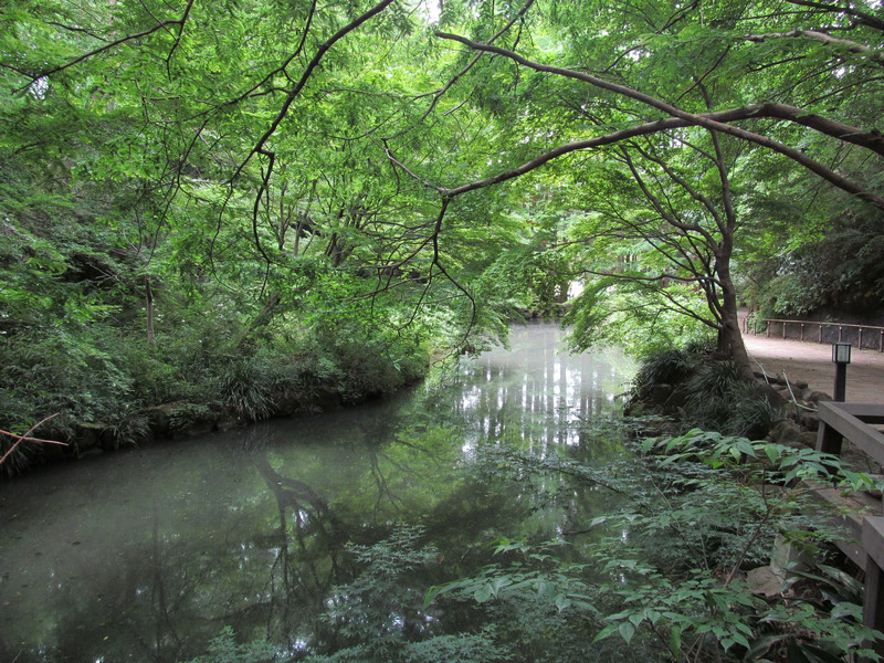 生田緑地（奥の池）