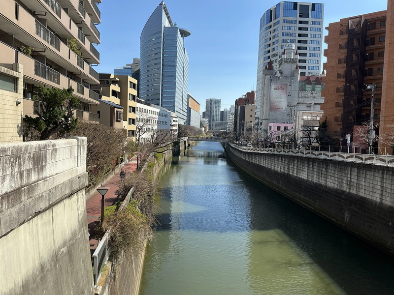 目黒の桜アクセス