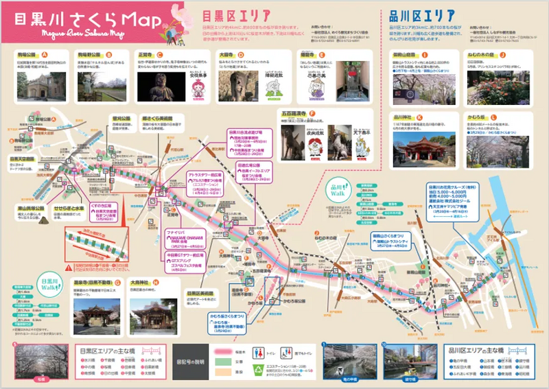 めぐろ観光まちづくり協会提供：さくらマナーマップ