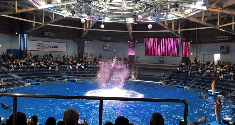 マクセルアクアパーク