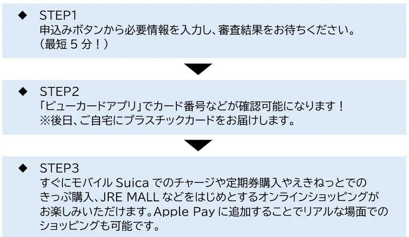 即時発行の手順