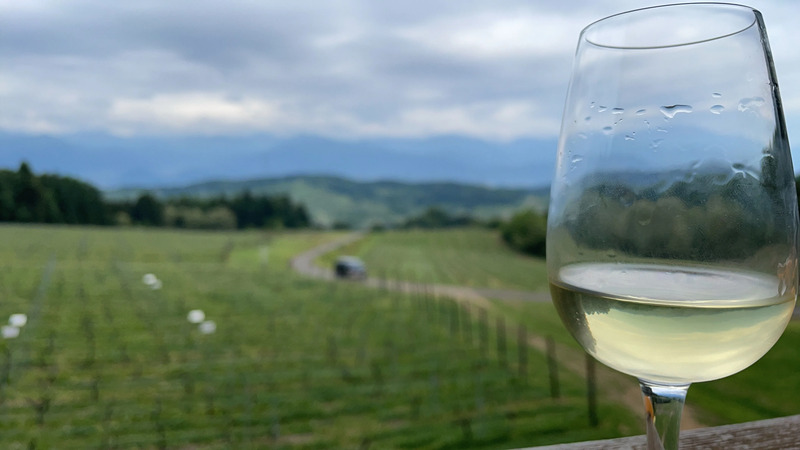 長野県のワイン