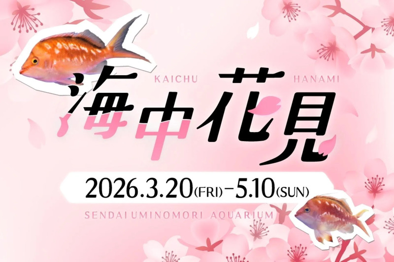 海中花見