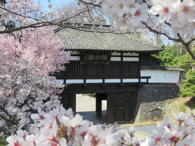 小諸城址 懐古園