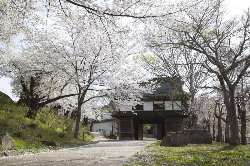 飯山城址公園