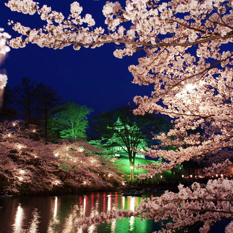高田城址公園観桜会
