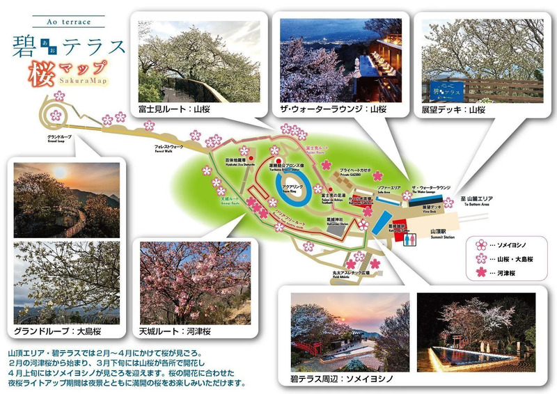 伊豆パノラマパーク（桜マップ）