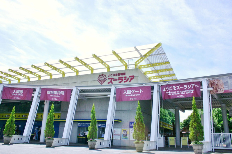 ズーラシア,横浜線,クイズ