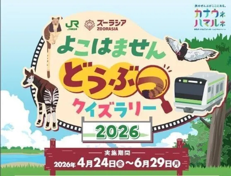 横浜線,ズーラシア,クイズ