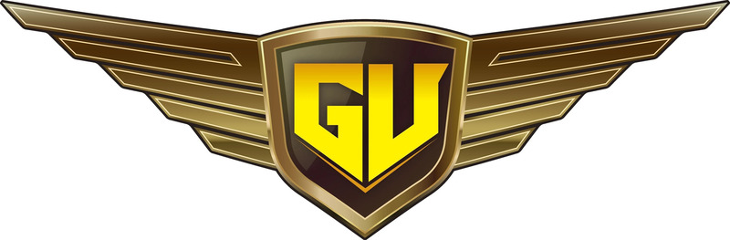 ゴールドとブラックのウイング型ヘッドマーク