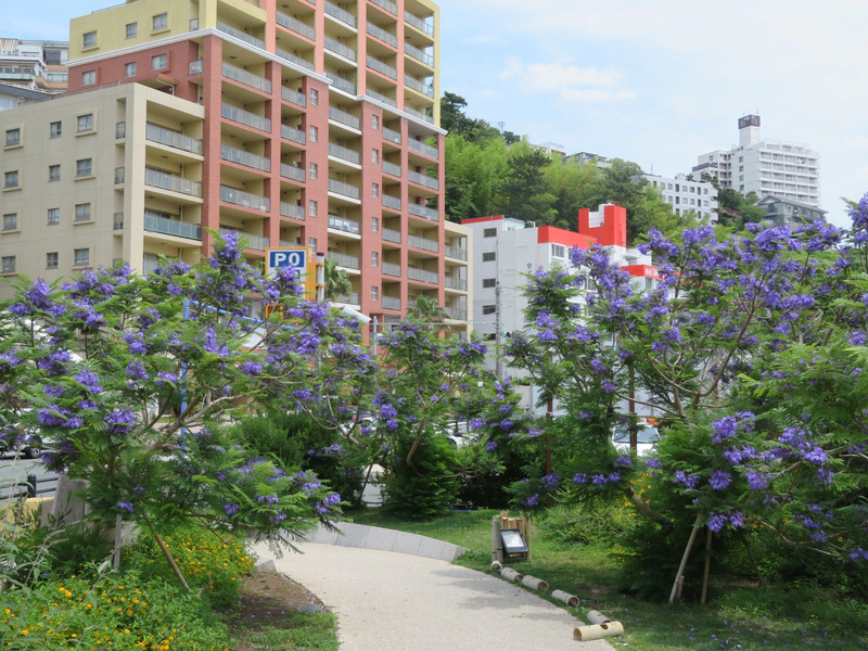 遊歩道
