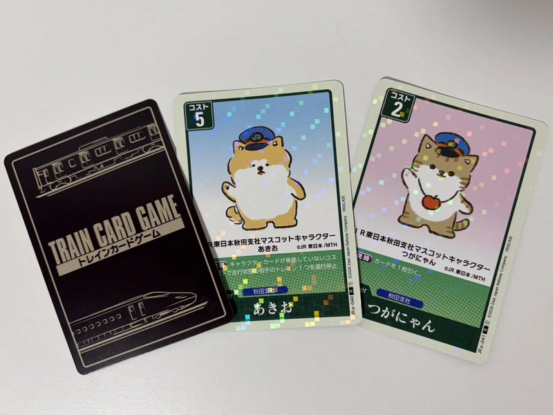 TRAIN CARD GAME