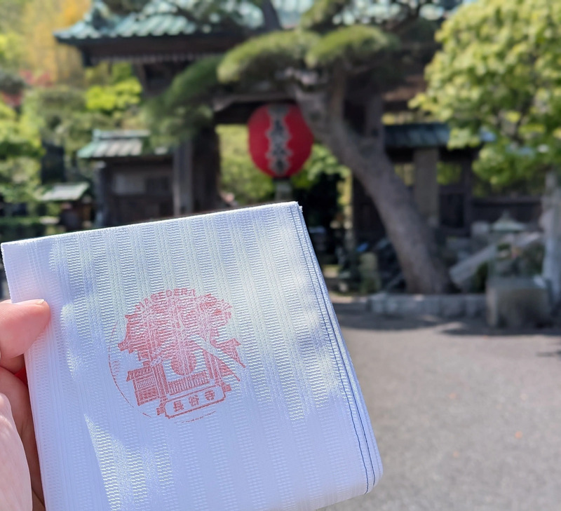 HASEDERA