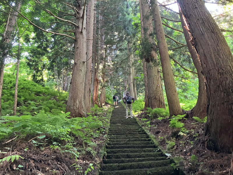 御本社までの参道