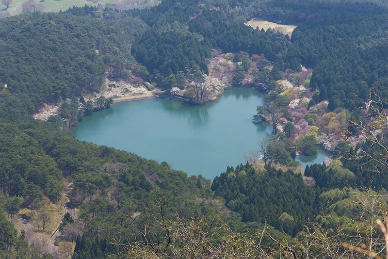 半田山自然公園