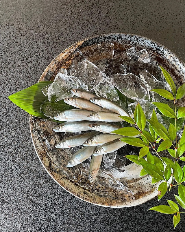 鮎の塩焼き