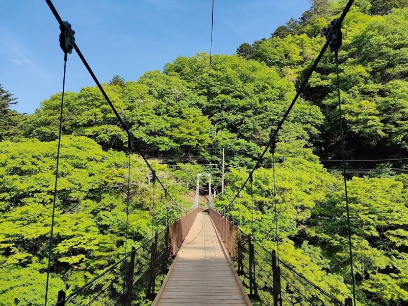 しだくら吊り橋（画像提供：奥多摩観光協会）