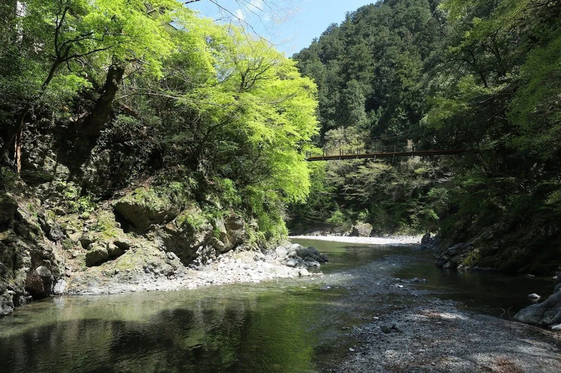 氷川渓谷（画像提供：奥多摩観光協会）