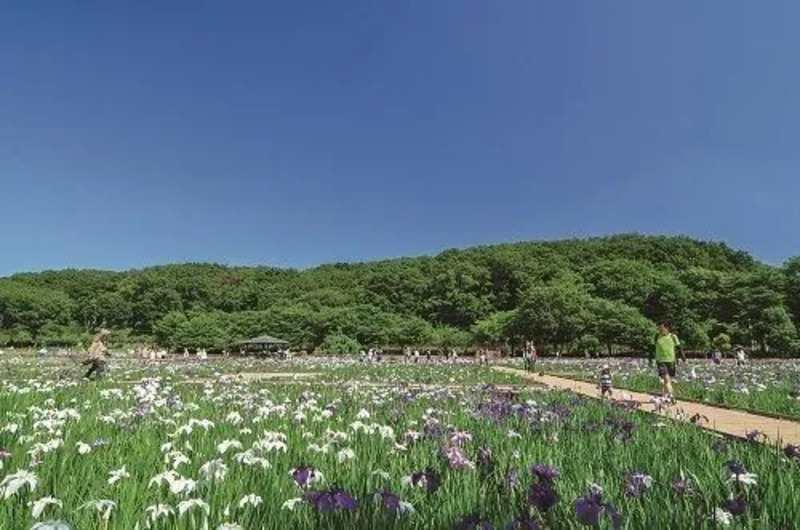 東京都東村山市ふるさと納税：自治体イメージ画像