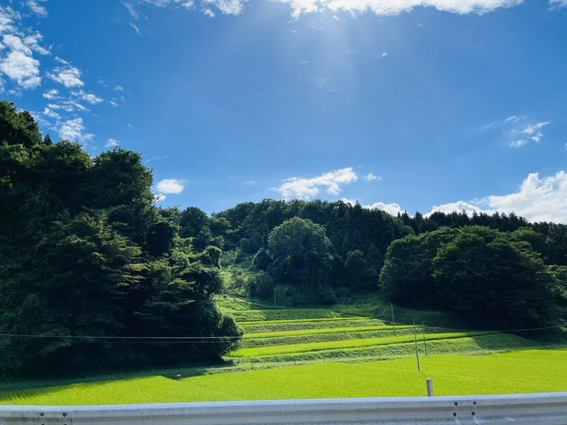 布沢棚田