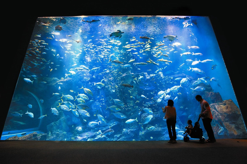 男鹿水族館