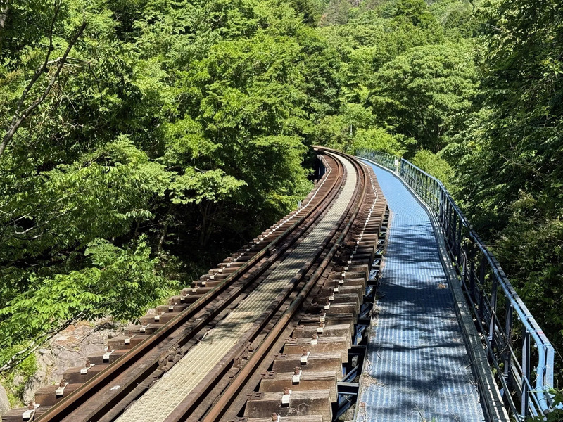 観光列車_磐東2_観光列車