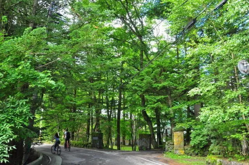 避暑地サイクリング
