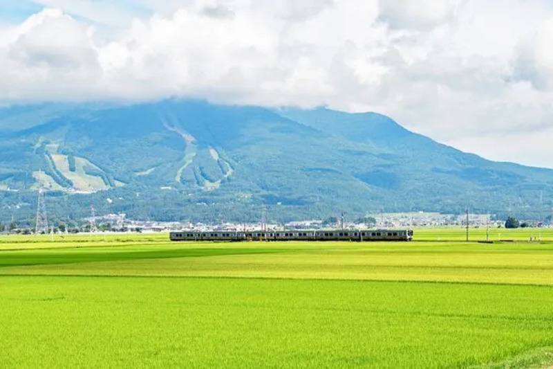 避暑地サイクリング,猪苗代湖畔の田園風景