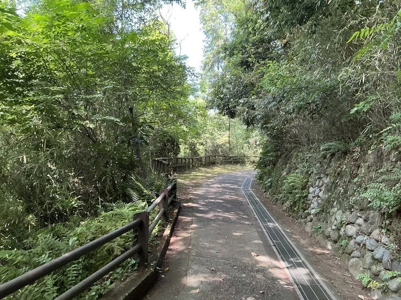 緑地1