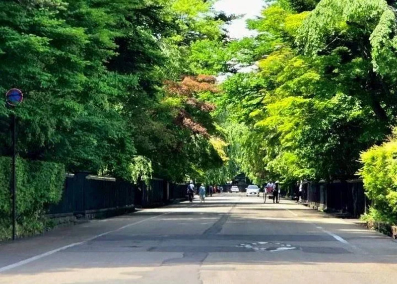 角館武家屋敷散策
