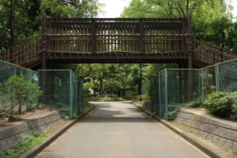 平和の森公園フィールドアスレチック
