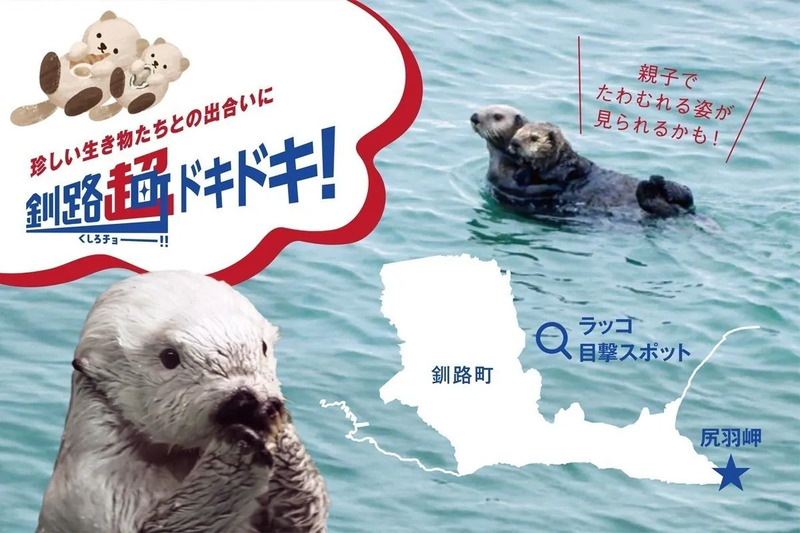 尻羽岬