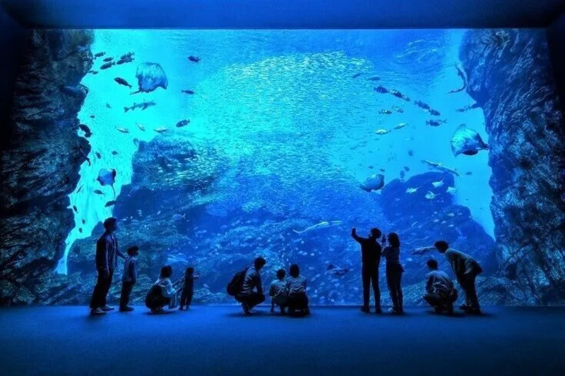 仙台うみの杜水族館