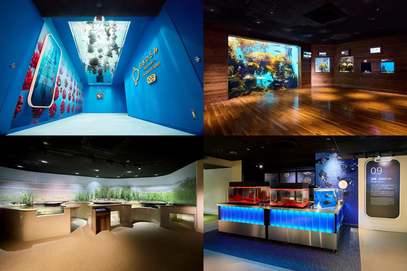 仙台うみの杜水族館