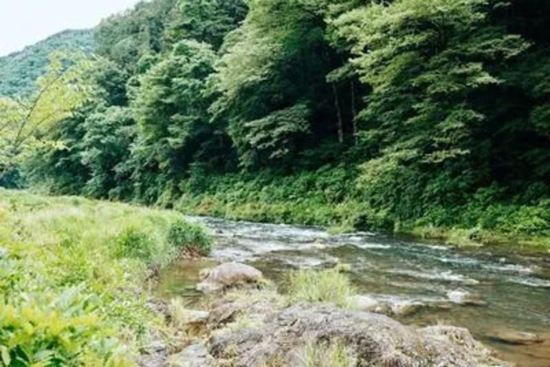 柚子やお茶の木々に囲まれ多摩川へと続くプライベートガーデン