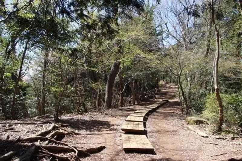 避暑地トレッキング,高尾山稲荷コース