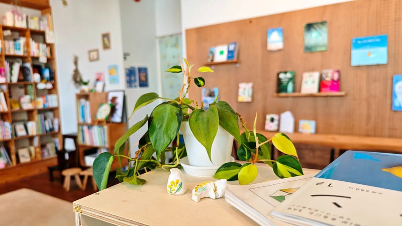 駅の図書室FLAT観葉植物