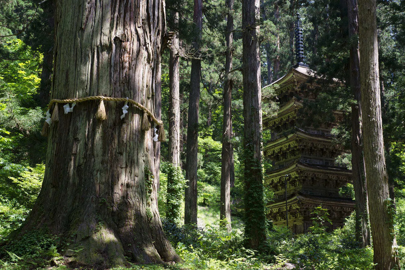 羽黒山五重塔