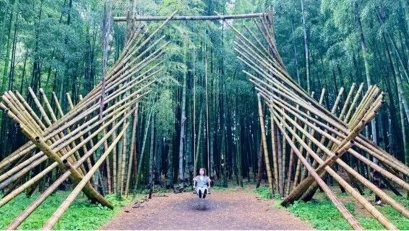 若竹之杜 若山農場