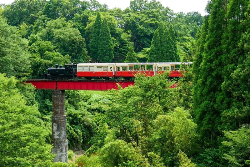 房総里山トロッコ