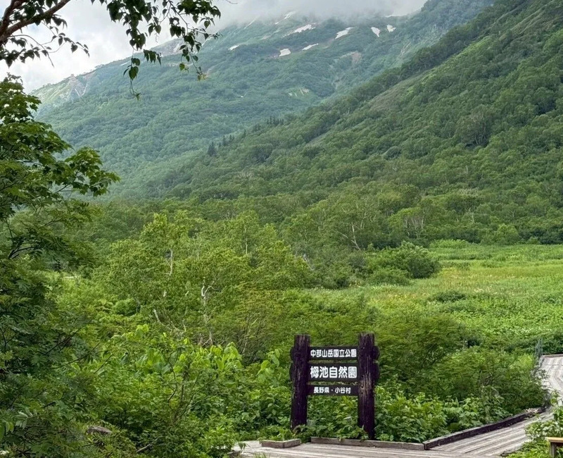 長野観光_栂池自然園