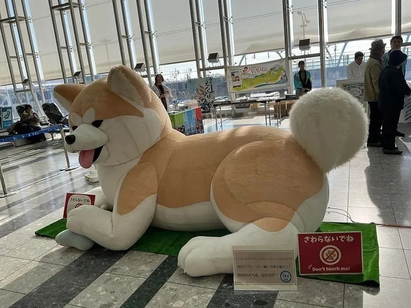 秋田犬モニュメント,もりおか駅前開運ホコテン,盛岡駅,イベント